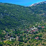 Sweet Traditional Dalmatian House With Pool Villa Vrsine
