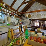 Villa Sweet Traditional Dalmatian House With Pool Vrsine