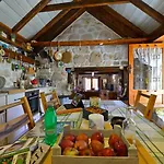 Sweet Traditional Dalmatian House With Pool Villa Vrsine