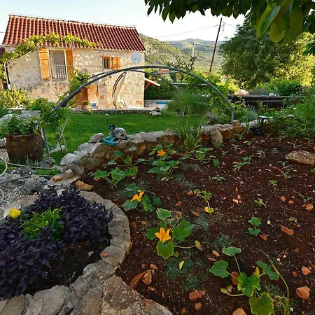 Villa Sweet Traditional Dalmatian House With Pool *