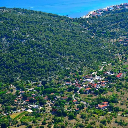 Sweet Traditional Dalmatian House With Pool Vila Vrsine