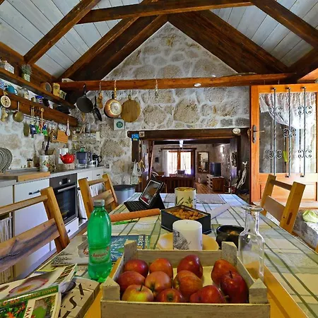 Sweet Traditional Dalmatian House With Pool Vila Vrsine