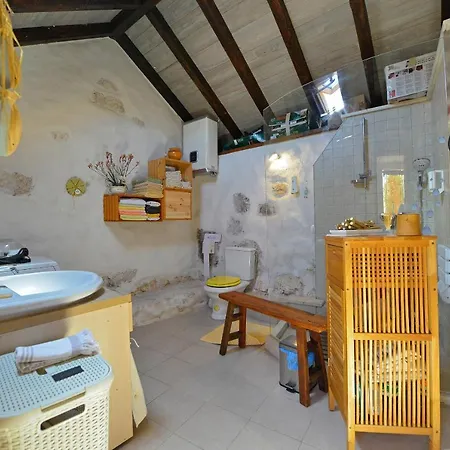 Sweet Traditional Dalmatian House With Pool Vrsine