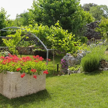 Vila Sweet Traditional Dalmatian House With Pool