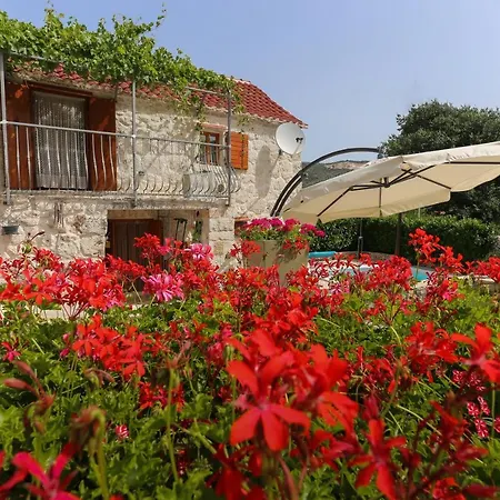 Sweet Traditional Dalmatian House With Pool Vrsine